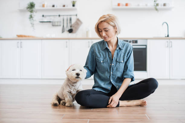 istock Lady sitting cross-legged in kitchen with small dog 1496898118