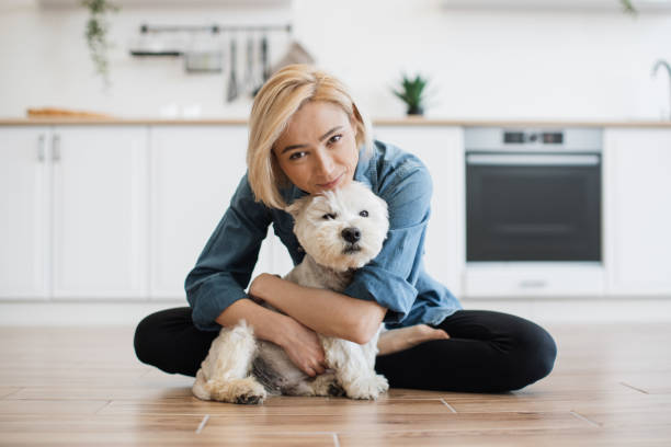 istock Pet owner kissing small terrier during weekend at home 1496898119