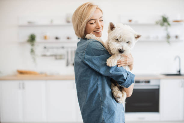 istock Female keeper holding dog on shoulder in room interior 1496898162