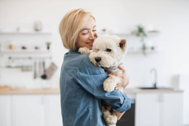istock Female keeper holding dog on shoulder in room interior 1496898163