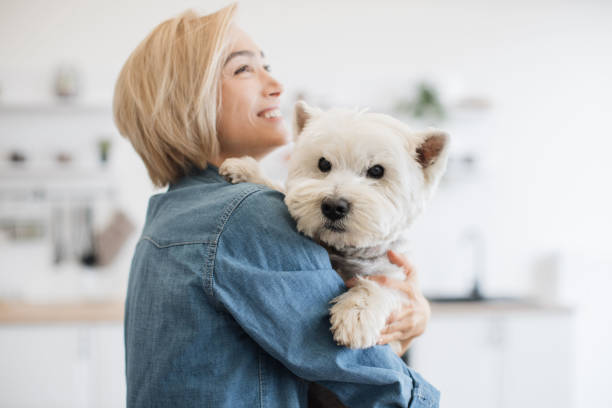 istock Female keeper holding dog on shoulder in room interior 1496898164