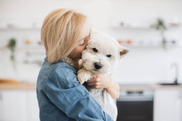 istock Lady cuddling white dog while holding pet in arms at home 1496898168