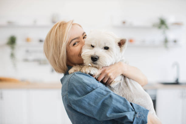 istock Female pet owner posing with terrier in arms in kitchen 1496898170