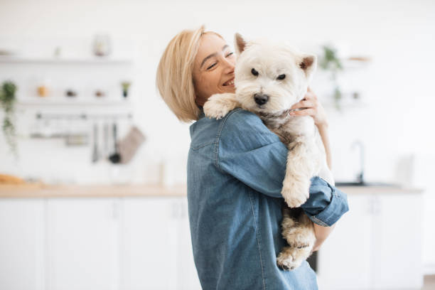 istock Female keeper holding dog on shoulder in room interior 1496898171