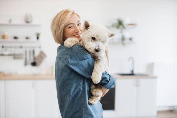 istock Female pet owner posing with terrier in arms in kitchen 1496898172
