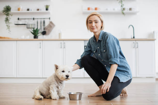istock Woman and white terrier posing during feeding at home 1496898207