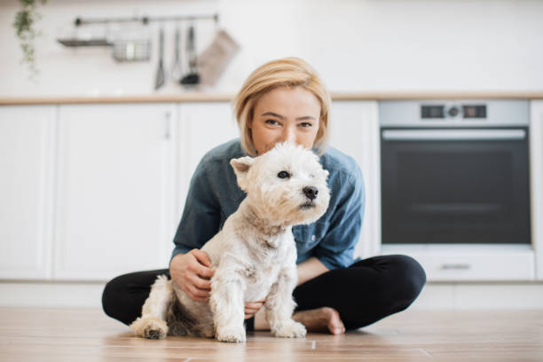istock Westie sitting on floor in kitchen with female owner behind 1496898228