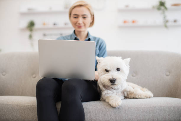 istock White terrier lying beside female owner with laptop on couch 1496898259