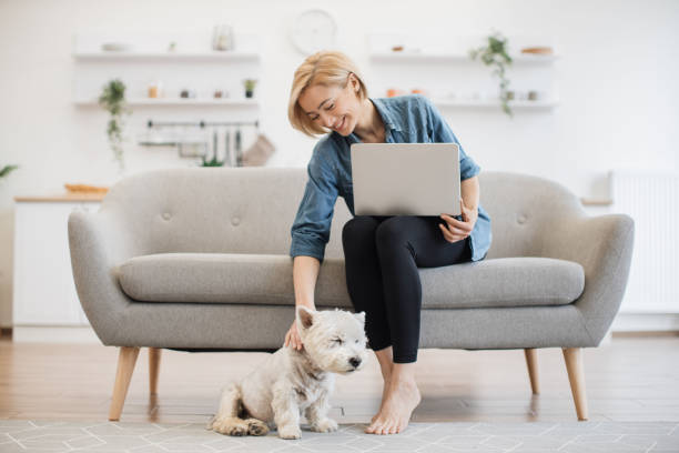 istock Terrier staying close to female with computer in kitchen 1496898260