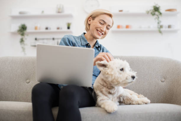 istock Business lady scratching Westie while freelancing at home 1496898263