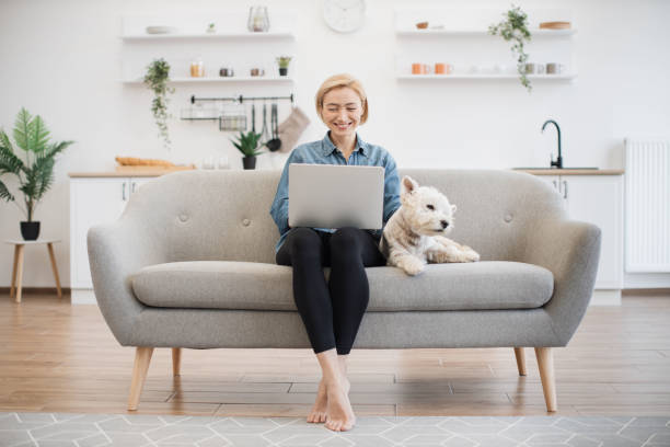 istock Woman looking at laptop screen with terrier on side indoors 1496898274