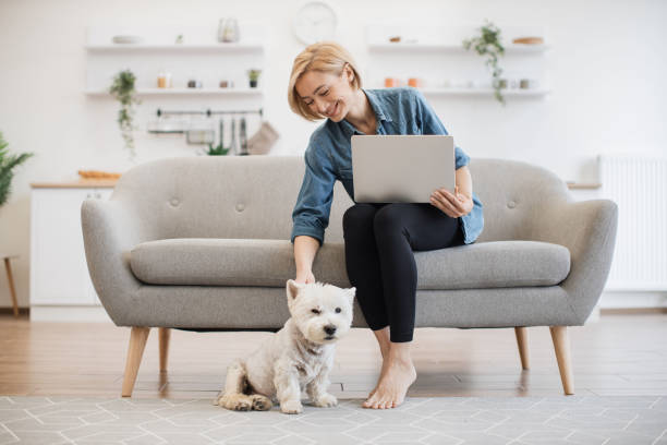 istock Terrier staying close to female with computer in kitchen 1496898279