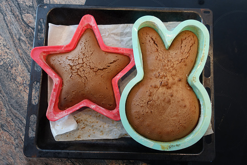 Baked bunny head and star shaped brownies in cake pans