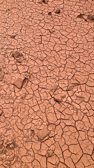 In the mountainous terrain, the clay soil bears the weathered marks of the unrelenting sun. Cracked and parched, the once-malleable earth now reveals a network of intricate patterns resembling a dried riverbed. Fissures stretch across the landscape, forming a mosaic of fragile fragments that testify to the arid conditions.