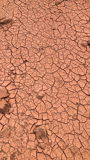 Under the sun's relentless gaze, the texture of red clay reveals its intricate network of cracks. Each crevice etched into its surface tells a tale of parched earth, as the once-smooth clay now bears the mesmerizing patterns of dehydration. Like delicate spiderwebs, the fractures traverse the landscape, creating a striking mosaic of dried earth