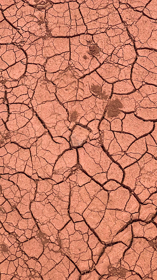 Under the scorching sun, the red clay takes on a textured appearance, marked by deep cracks that traverse its surface. The once-smooth clay now showcases a rugged terrain, with crevices and fractures forming an intricate pattern reminiscent of a puzzle waiting to be deciphered.