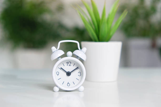 istock A white alarm clock on white table with an indoor ornamental plant. 1496899948