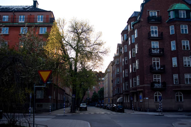 istock Stockholm landscape 1496900074