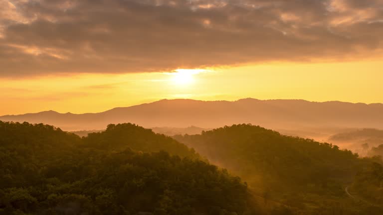 Beautiful morning scenery with a misty golden sunrise