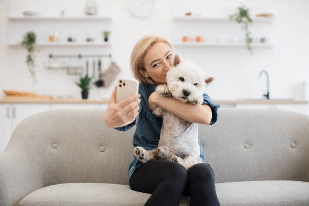 istock Female taking selfie with terrier via mobile on kitchen sofa 1496906365