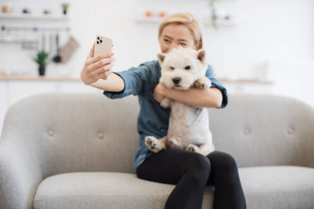 istock Woman getting self-portrait with Westie in open-plan kitchen 1496906369