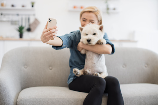 Focus on modern cell phone held by attractive female with small Westie in warm hug both sitting on sofa in kitchen. Pretty caucasian woman getting self-portrait together with adorable canine friend.