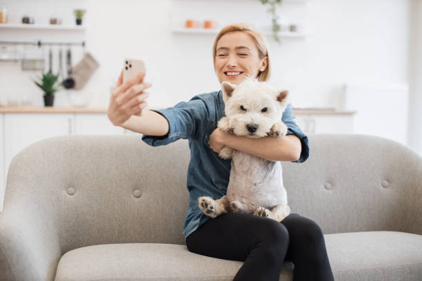 istock Woman getting self-portrait with Westie in open-plan kitchen 1496906373