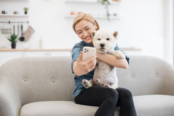 istock Female taking selfie with terrier via mobile on kitchen sofa 1496906383