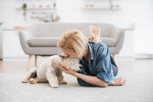 istock Lady fondling furry pet's muzzle on floor in modern house 1496906392