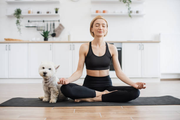 istock Lady meditating in half lotus pose with terrier at home 1496906416