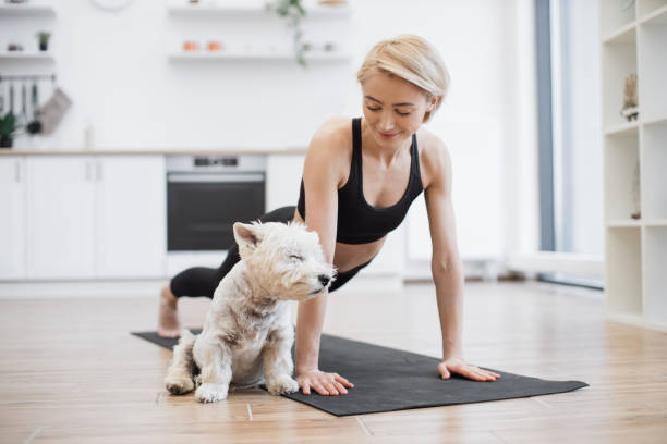 istock Westie falling asleep while owner practising yoga at home 1496906469