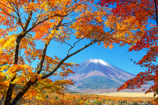 Mt. Fuji from Yamanaka Lake in Yamanashi Prefecture during autumn.