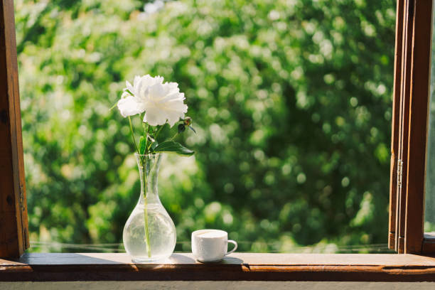 istock Cup coffee and white peonies on a wooden window. 1496913380