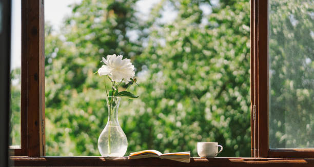 istock Book, cup coffee and white peonies on a wooden window. 1496913387