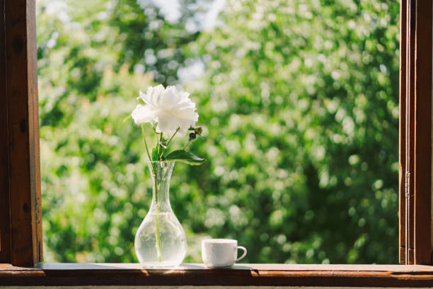 istock Cup coffee and white peonies on a wooden window. 1496913389