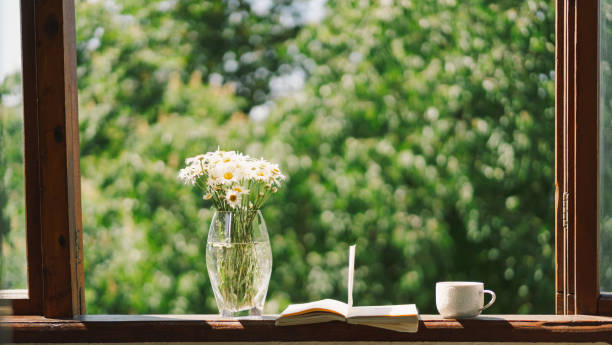 istock Book, cup coffee and white chamomile on a wooden window. 1496913403