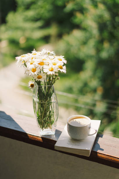 istock Book, cup coffee and white chamomile on a wooden window 1496913407