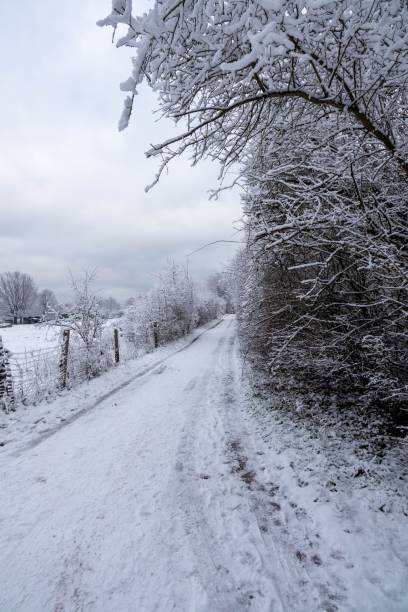 istock Scenic winter scene featuring a winding road, lined with trees, leading through a snow-covered field 1496913425