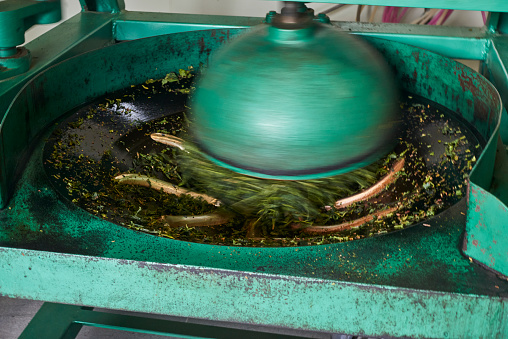 Tea making process, small Business, expertise, agricultural machinery