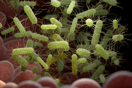 Inside microorganism cloud