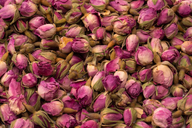istock Dry tea roses isolated on white background. 1496924760