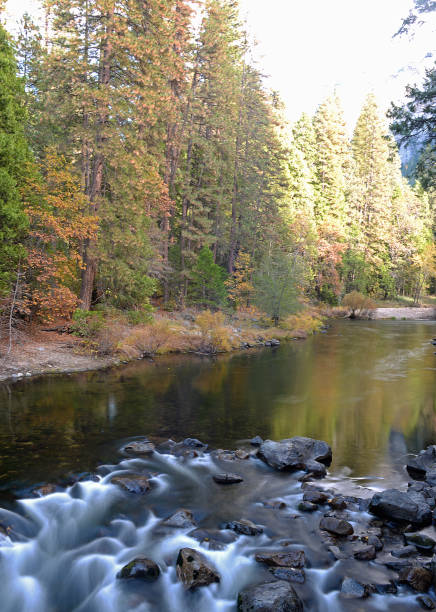istock Yosemite National Park, California 1496932096