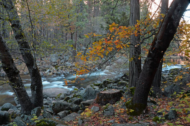 istock Yosemite National Park, California 1496932142