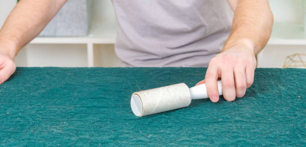 istock A man cleans a blanket from cat hair with a sticky roller. Roller for removing wool. Lint roller. 1496933790