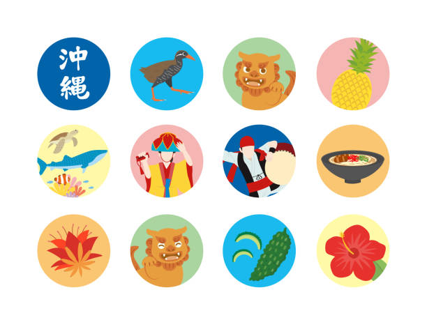 illustrazioni stock, clip art, cartoni animati e icone di tendenza di illustrazione delle icone di okinawa - white background fruit vacations nature