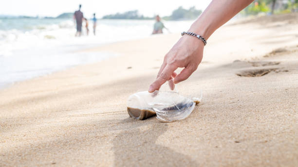 istock Hand picking up plastic bottle cleaning on the beach. Save the world concept. Environment, ecology care, renewable concept,Nature conservation tourism 1496937655