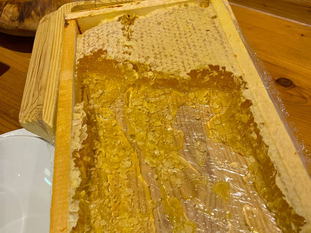 istock Fresh honeycombs in wooden bowl, closeup 1496939370