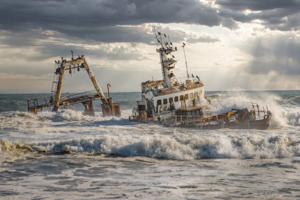istock Zeila Shipwreck on the Skeleton Coast in Namibia, Africa 1496950167