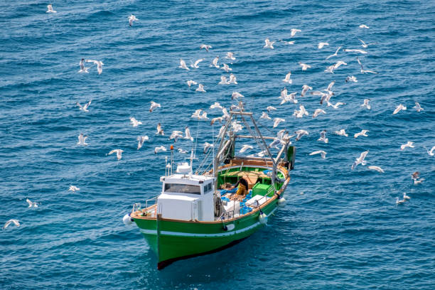 istock Fishing Boat Surrounded By  Seagulls 1496953602