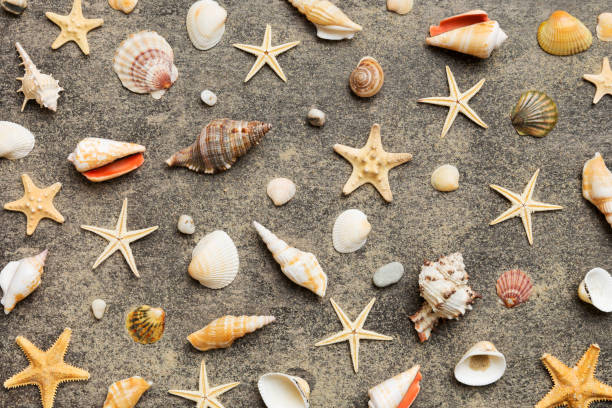 istock Summer time concept Flat lay composition with beautiful starfish and sea shells on colored table, top view 1496954217